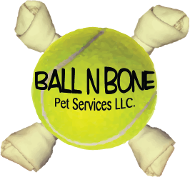 Ball N Bone Logo